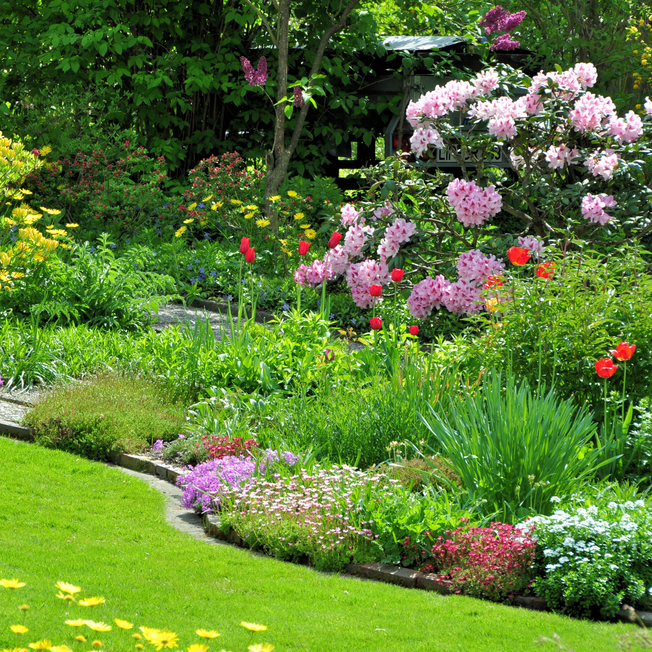 Garten in Blüte